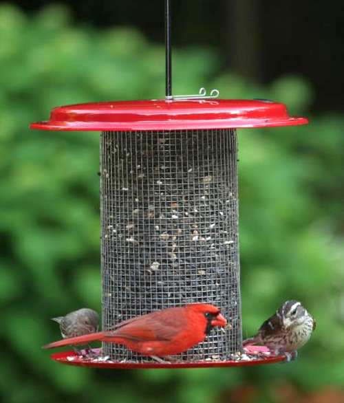 Birds Choice Magnet Mesh 5 Quart Metal Feeder